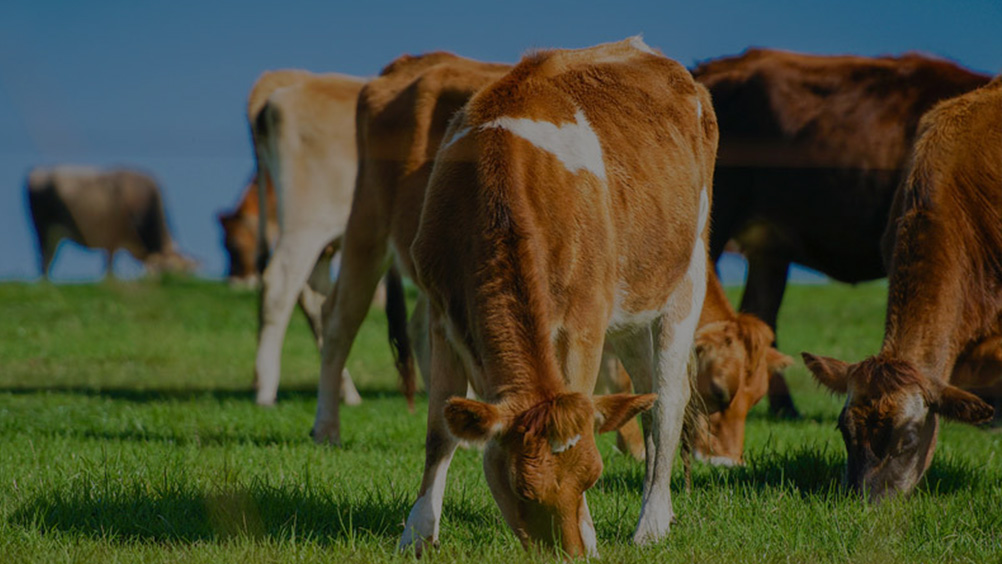 牧業
